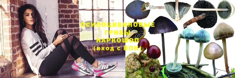 Галлюциногенные грибы Magic Shrooms  даркнет клад  Анадырь 